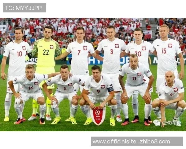 世预赛丹麦对阵波兰的精彩对决结果揭晓分析 世预赛丹麦对阵波兰的精彩对决结果揭晓分析